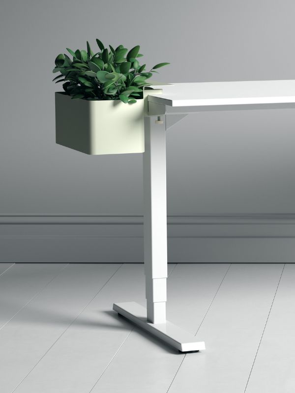 IT-Equipment, Beleuchtung & Deko für dein Homeoffice