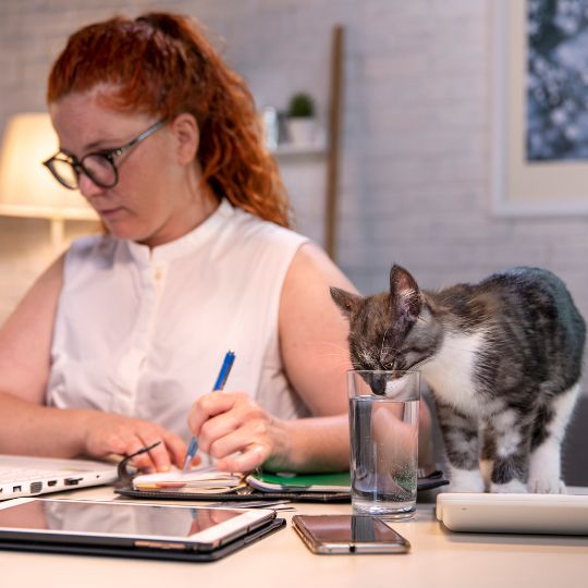 Eine Frau mit roten Haaren sitzt am Tisch und arbeitet. Neben ihr steht eine Katze, die in ein Glas Wasser schnüffelt.