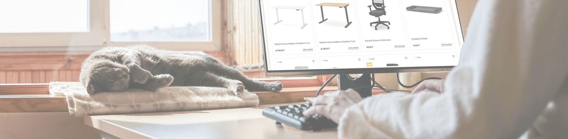 Eine schlafende Katze auf einem Fensterbrett und eine Person, die an einem Computer arbeitet. Der Bildschirm zeigt Produkte, darunter Schreibtische und Stühle.