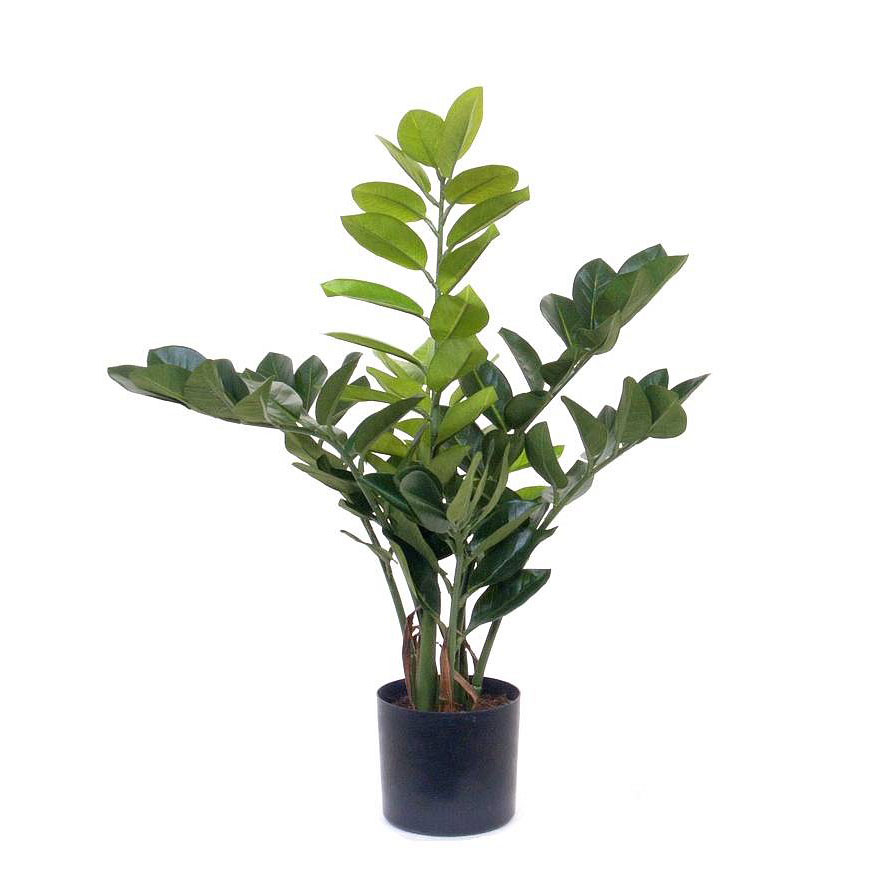 Kunstpflanze Zamioculcas 55cm im Kunststoff Innentopf