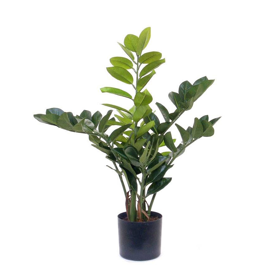 Kunstpflanze Zamioculcas
