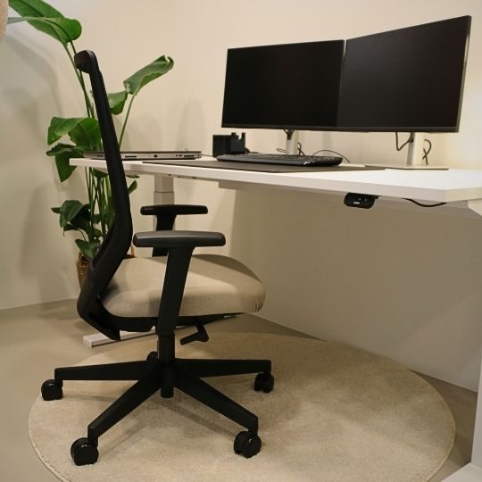 Modernes Homeoffice mit höhenverstellbarem Schreibtisch, ergonomischem Stuhl und Doppelmonitor-Setup auf rundem Teppich
