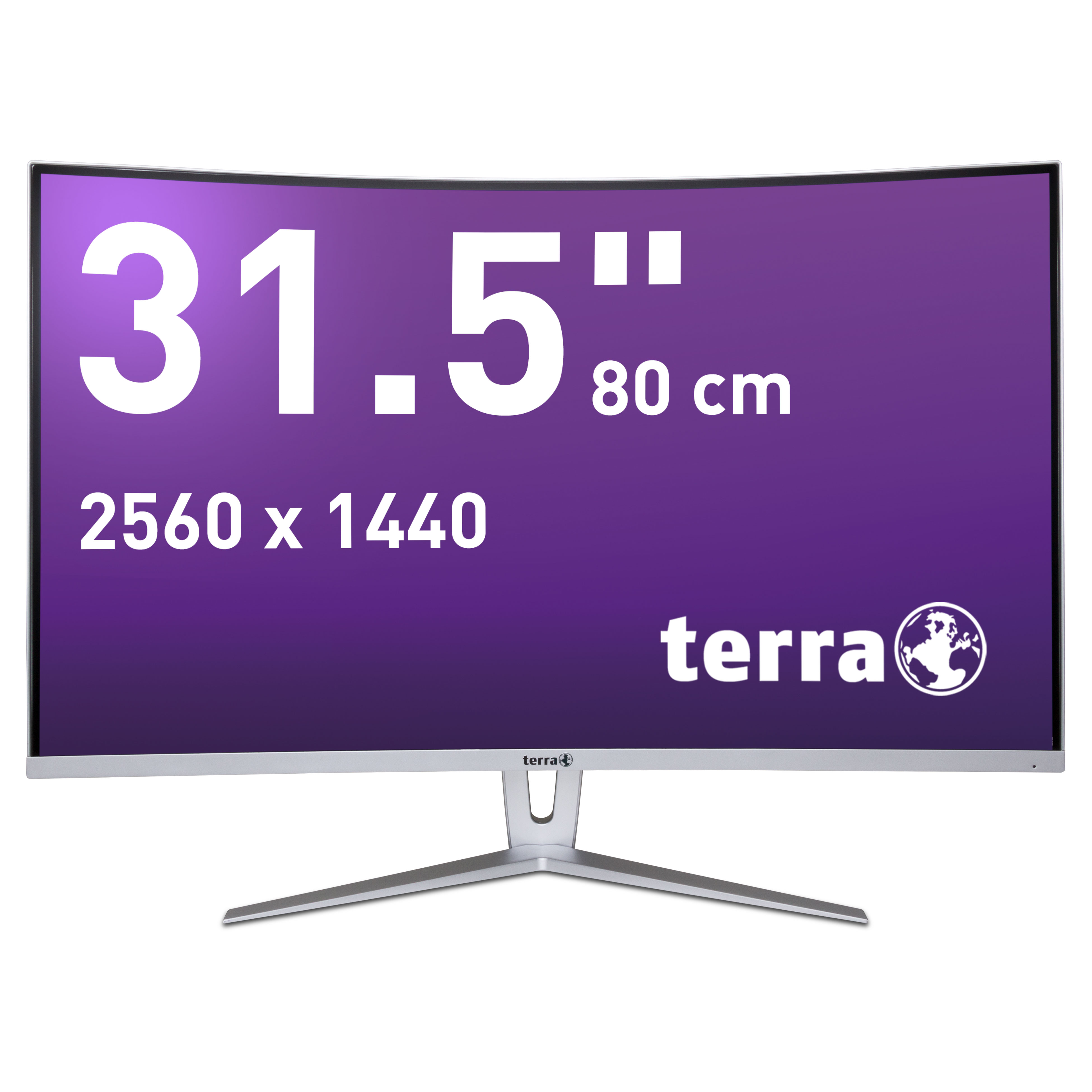 Monitor TERRA 31,5 Zoll LCD/LED 3280W V2 Curved
