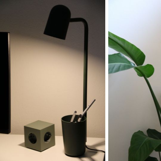 Schreibtischszene mit schwarzer Lampe, grünem Stiftehalter und Steckdosenelement