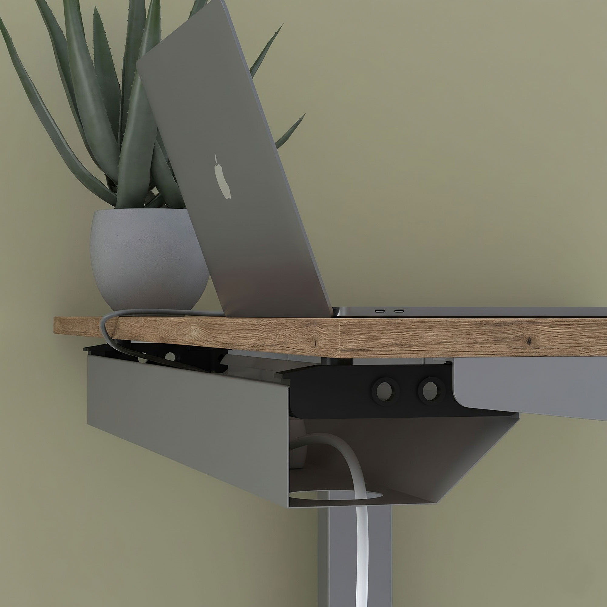 Ein Laptop steht teilweise aufgeklappt auf einem modernen Holzregal, das an der Wand befestigt ist. In der Nähe steht eine Sukkulentenpflanze und unter dem Schreibtisch ist ein weißes Kabel zu sehen.