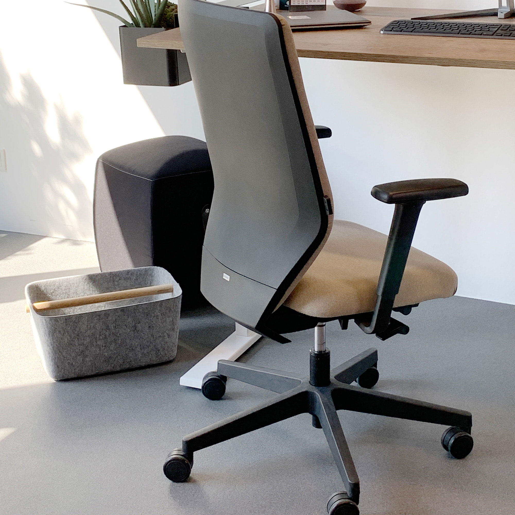 Hocker Syneo Line