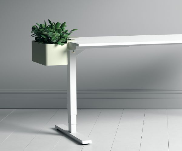 Ein moderner Tisch mit einem hellen, quadratischen Blumenkasten, der eine grüne Pflanze enthält.