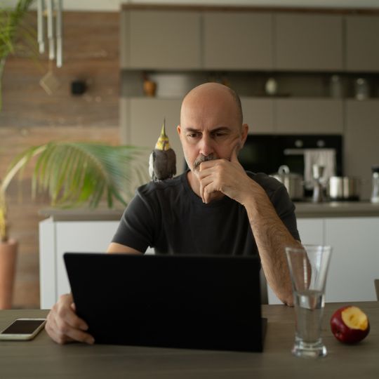 Mann arbeitet konzentriert am Laptop mit Vogel auf der Schulter in moderner Küche