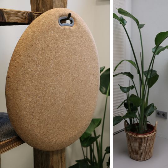 Ovale, portable Balance-Sitzunterlage aus Kork mit Tragegriff, neben einer großen Topfpflanze im geflochtenen Korb.