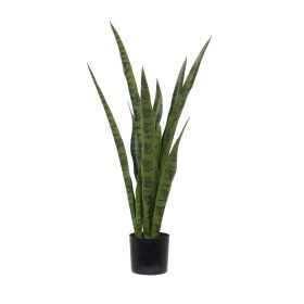 Eine hohe Sansevieria-Pflanze in einem schwarzen Topf.